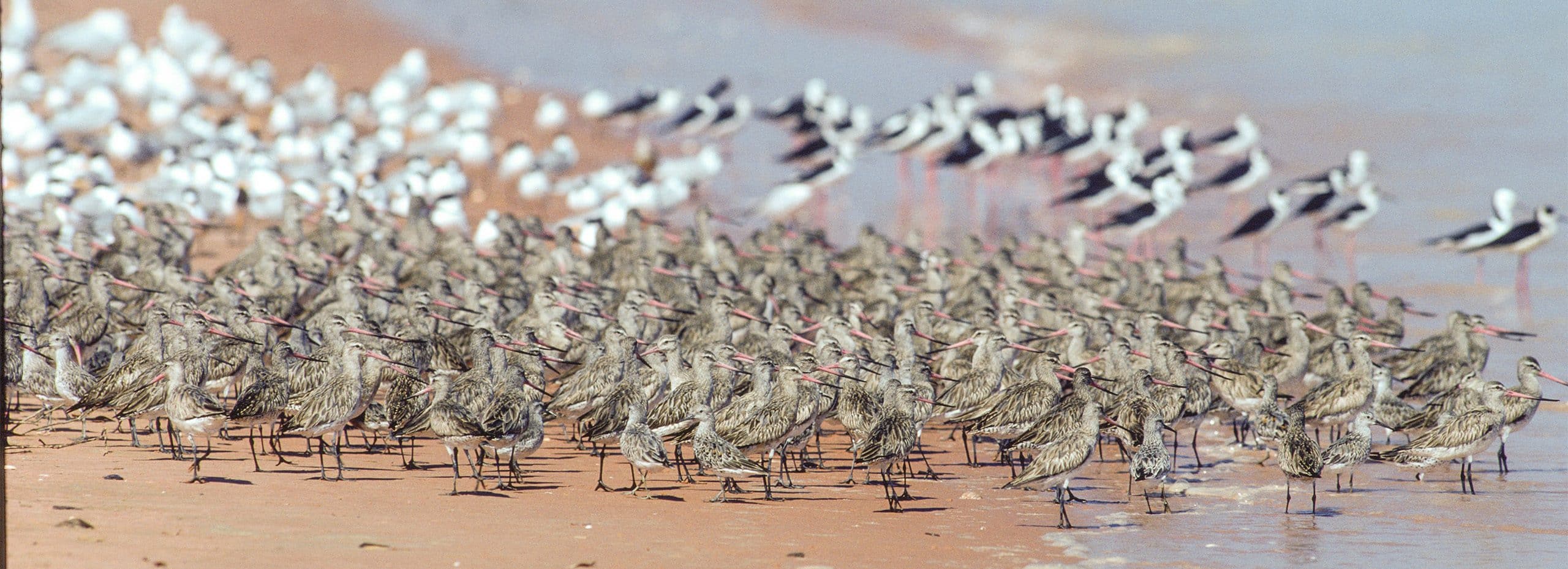 Broome, Western Australia, Australia