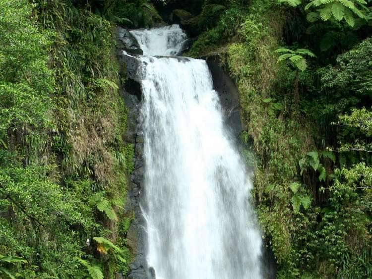 Cabrits, Dominica