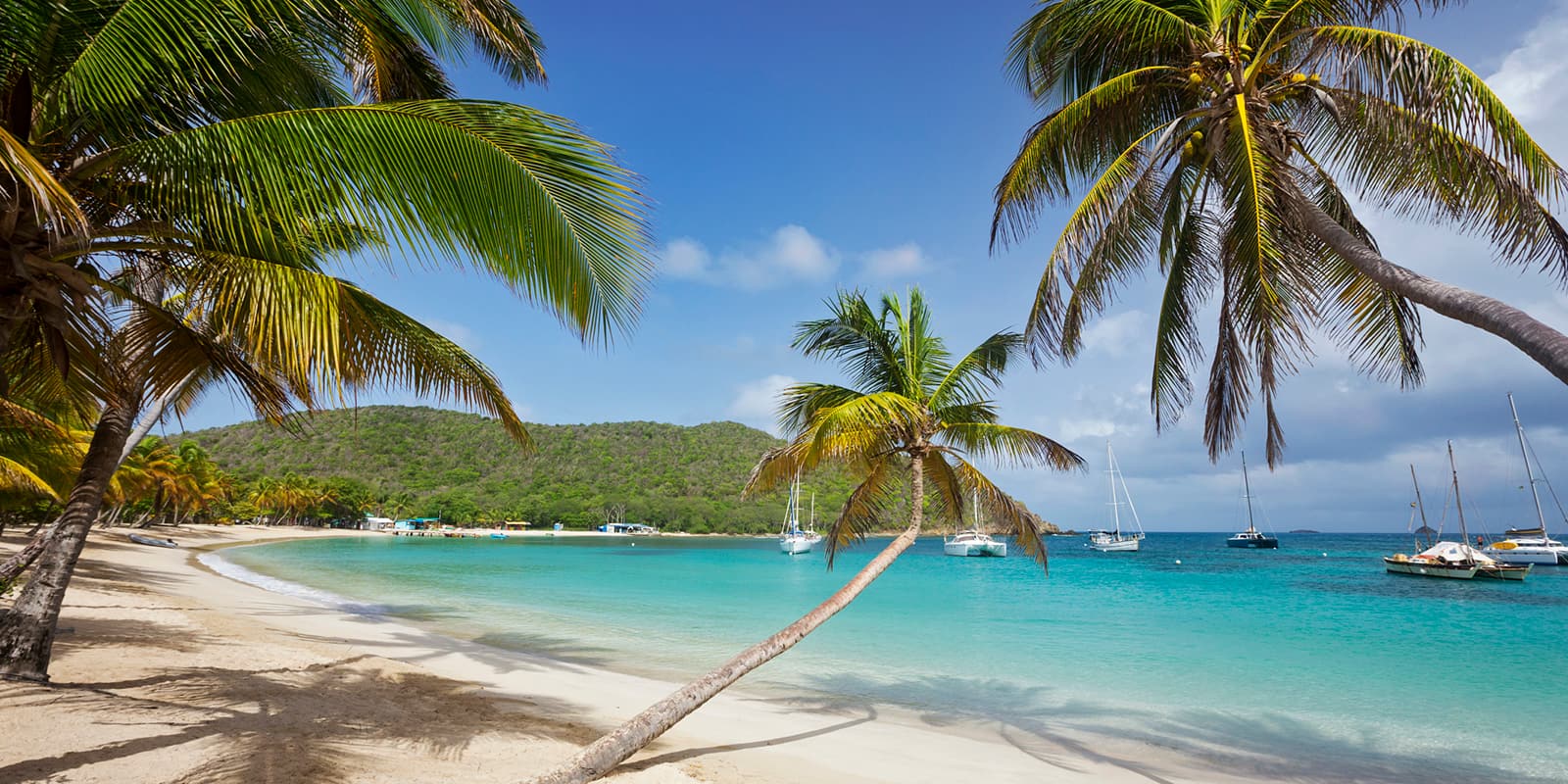 saline-bay-mayreau-st-vincent-and-the-grenadines